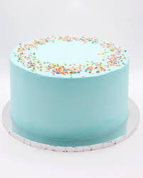 Simple yet elegant blue frosted cake representing a canvas for custom designs